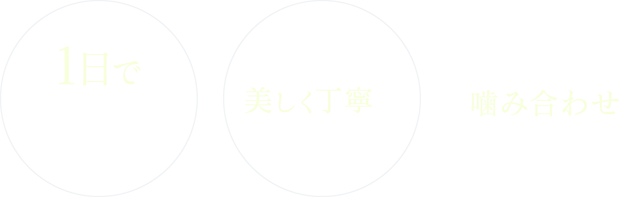 1日でセラミック治療が可能・笑顔まで考えた美しく丁寧な仕上がり・精密な診断と噛み合わせを重視