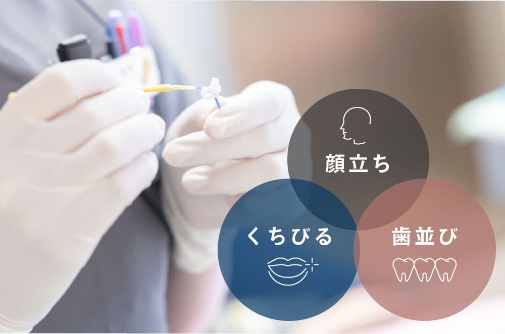 顔立ち・くちびる・歯並び