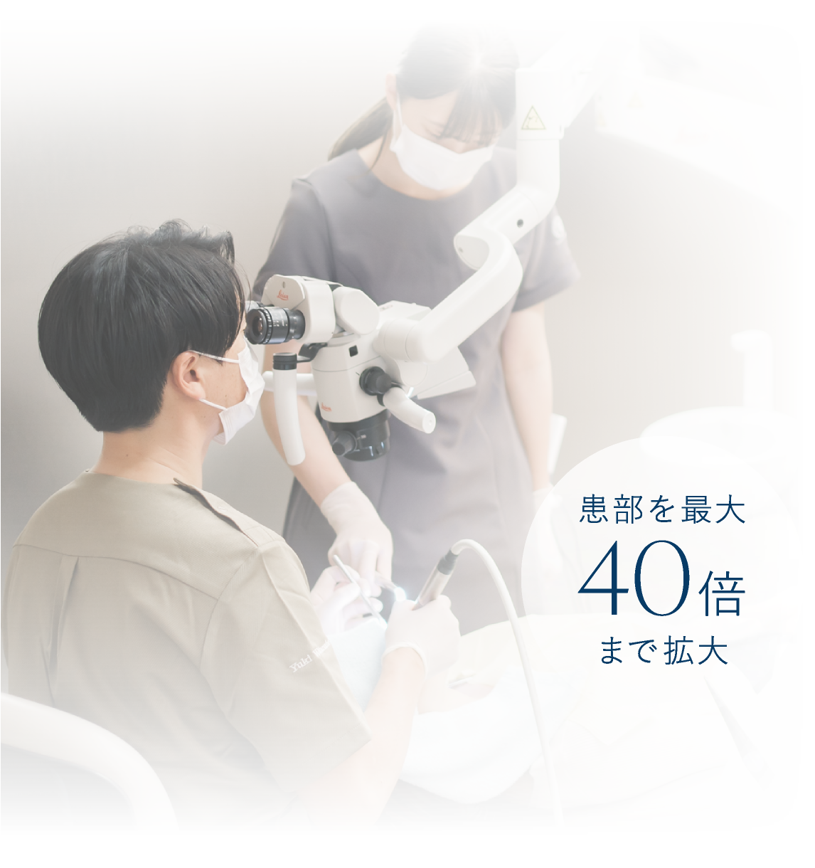 患部を最大40倍まで拡大